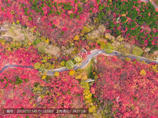 山東濟南紅葉谷秋天航拍