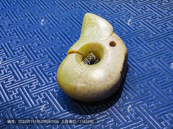 玉玦形龍