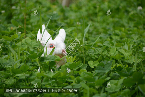 兔子