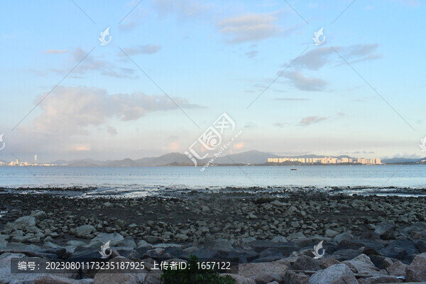 深圳城市海邊退潮景色