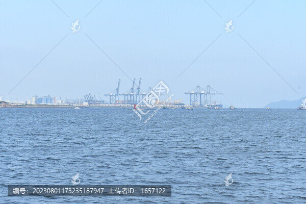 大海