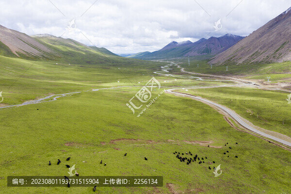藍(lán)天白云草地