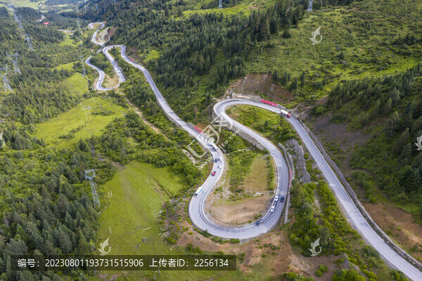 熊貓大道