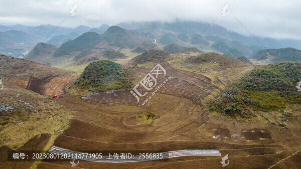 高山耕地