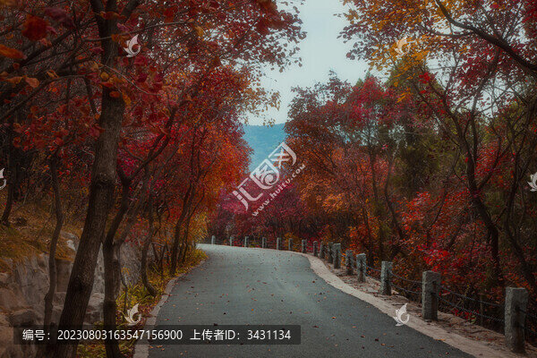 山東濟南紅葉谷山路