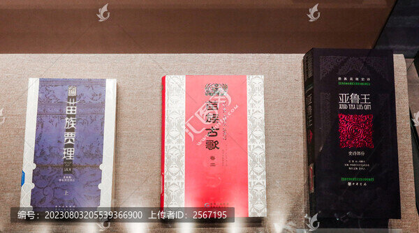 貴州少數(shù)民族彝族文字書(shū)籍