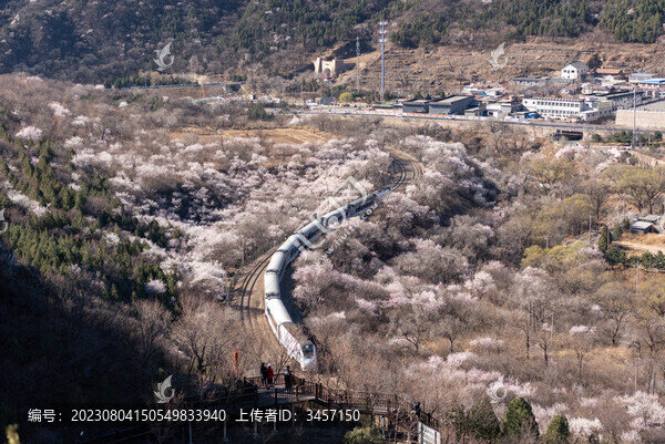 北京居庸關(guān)長(zhǎng)城花海列車