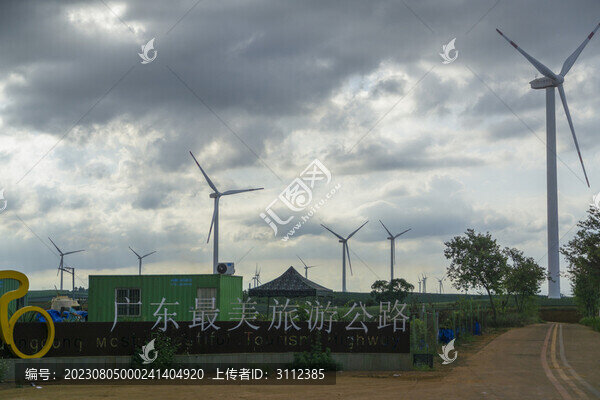 廣東省湛江市徐聞縣菠蘿的海