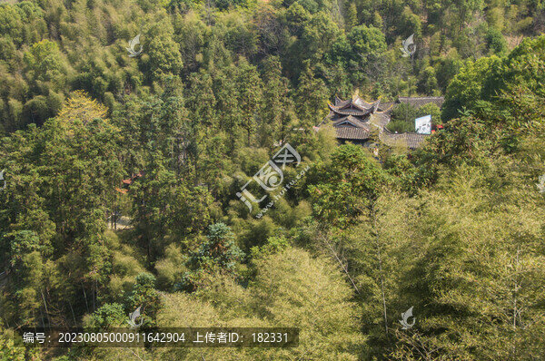 云際山森林風景