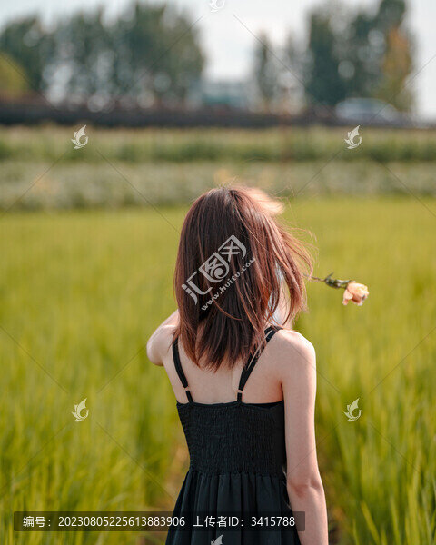小姐姐背影
