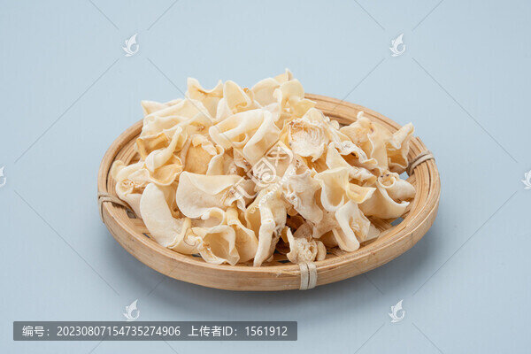 白玉木耳