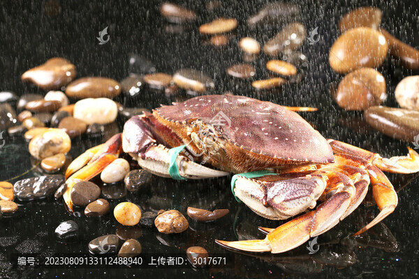 太子蟹