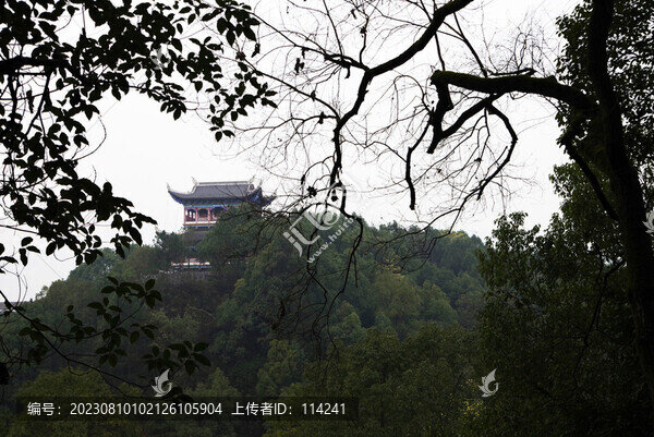 湖北恩施鳳凰山國(guó)家森林公園