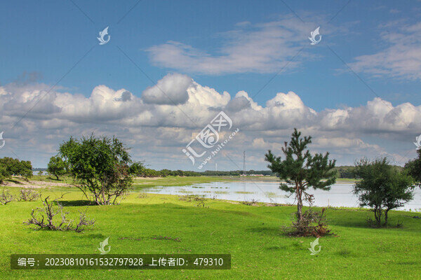 草地牧場(chǎng)