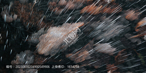 女裝男裝童裝圖
