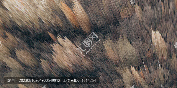 女裝男裝童裝圖