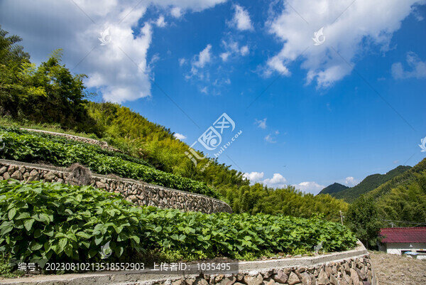 山地