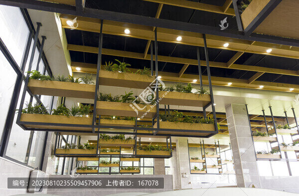 室內(nèi)建筑綠化