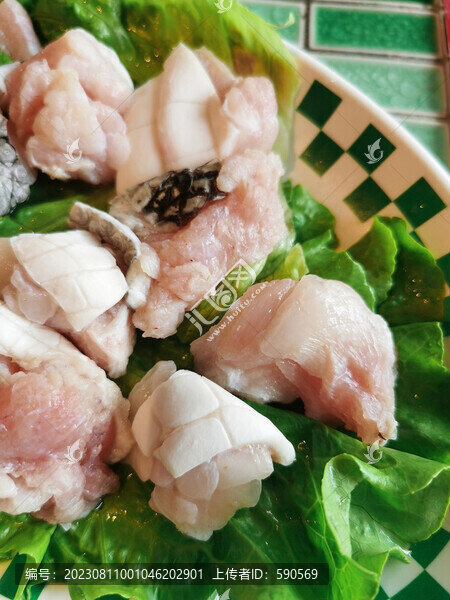鱷魚肉