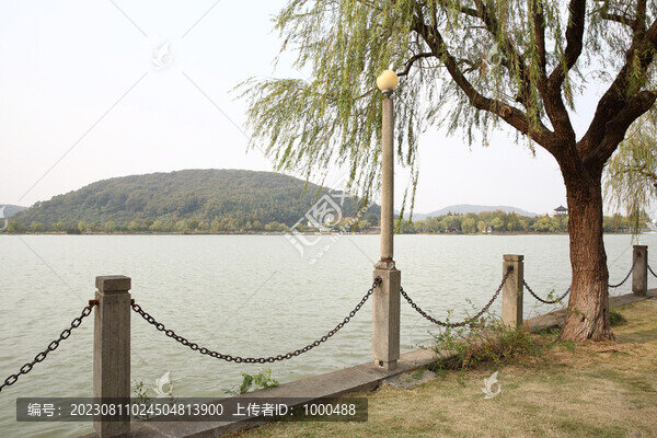 湖邊
