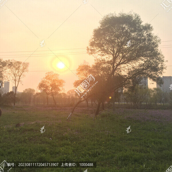夕陽(yáng)下