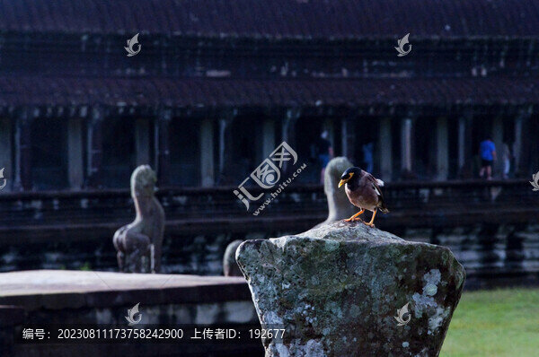 柬埔寨風(fēng)光
