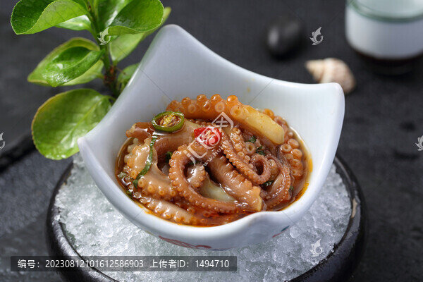 撈汁八爪魚(yú)