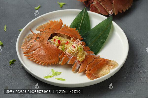 琵琶蝦