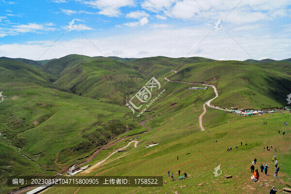云南曲靖會澤大海草山
