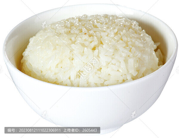 米飯