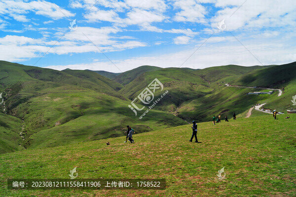 大海草山