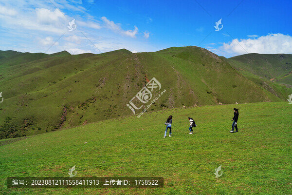 藍天白云下的草原
