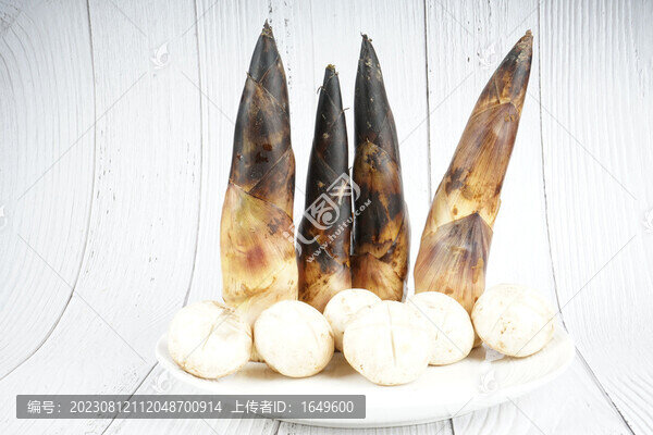 新鮮的竹筍春筍
