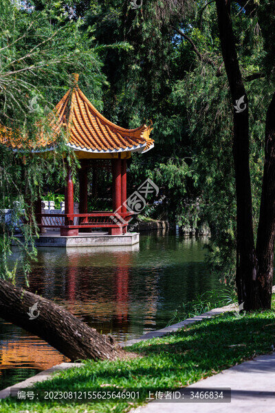 夏日公園的水中涼亭