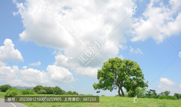 藍(lán)天白云綠樹(shù)綠草地