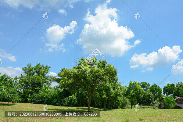 藍(lán)天白云綠樹綠草地