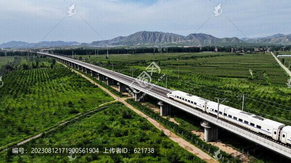 高鐵列車行駛在綠色田野