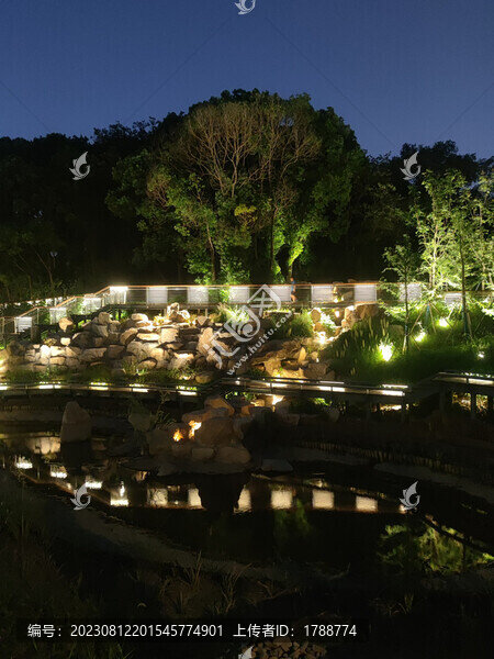 公園夜景
