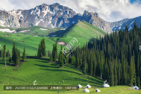 新疆那拉提草原風光