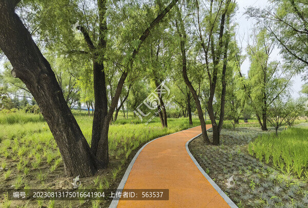 北京青甸湖公園風光