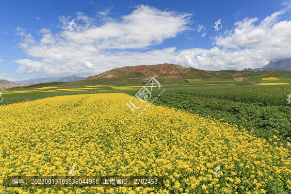 祁連山田園美景