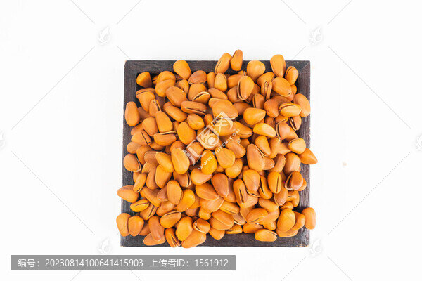 堅(jiān)果松籽