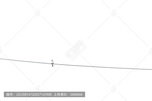 電線上的鳥
