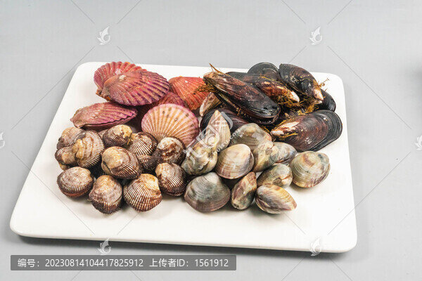 海鮮貝類大雜燴