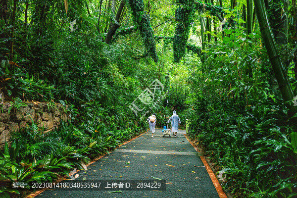 去動(dòng)物園的一家三口