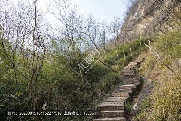 六安皖西大峽谷樹叢山路