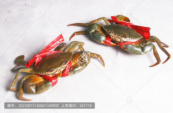 肉蟹