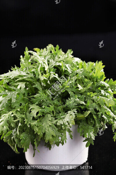 皇帝菜