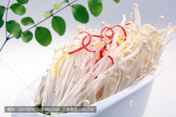 金針菇