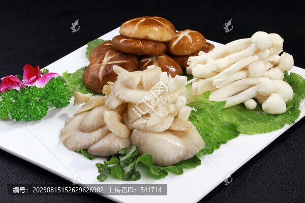 菌類拼盤